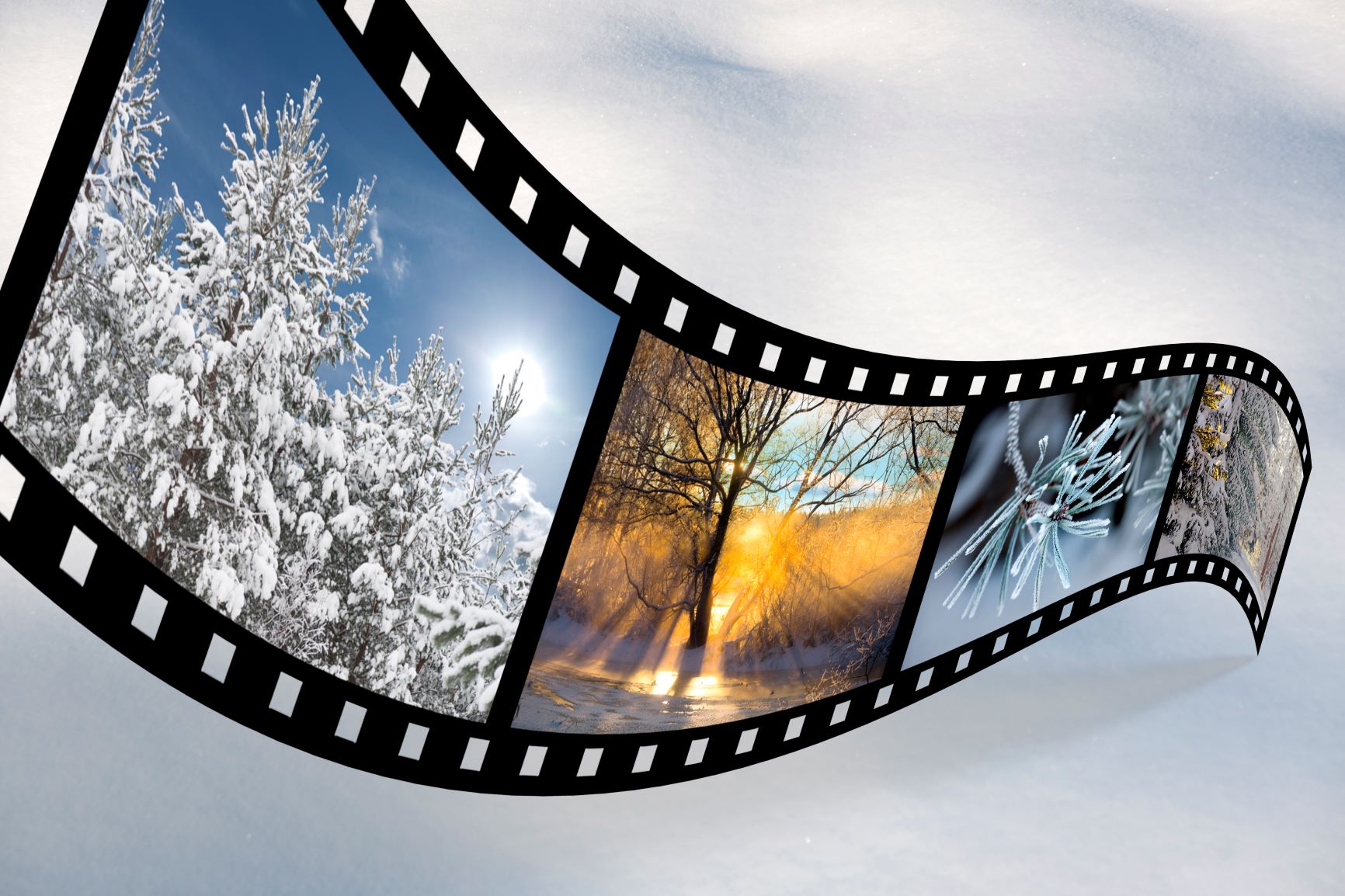 camera roll showing winter scenes