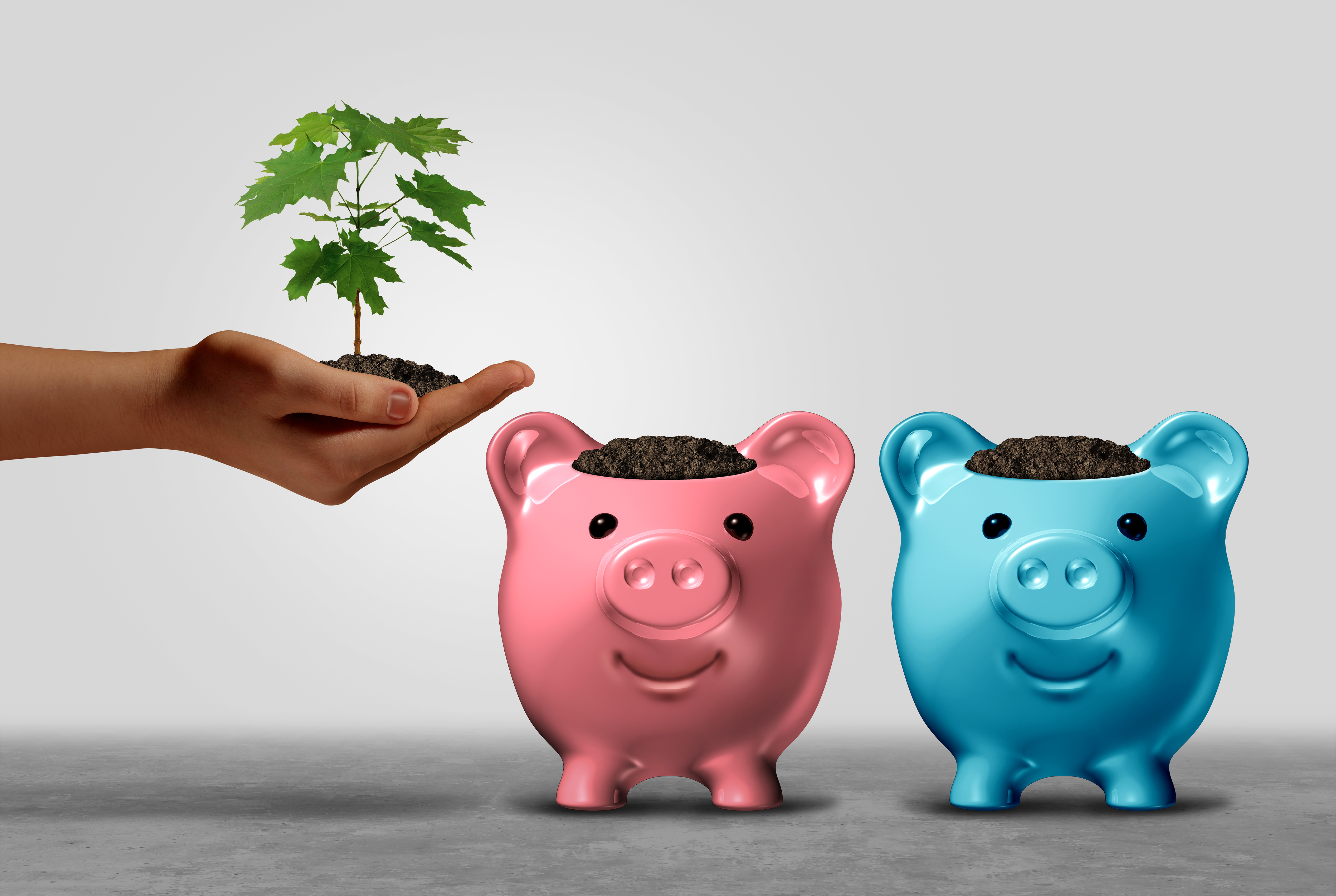 2 piggy banks with a small tree being planted in them