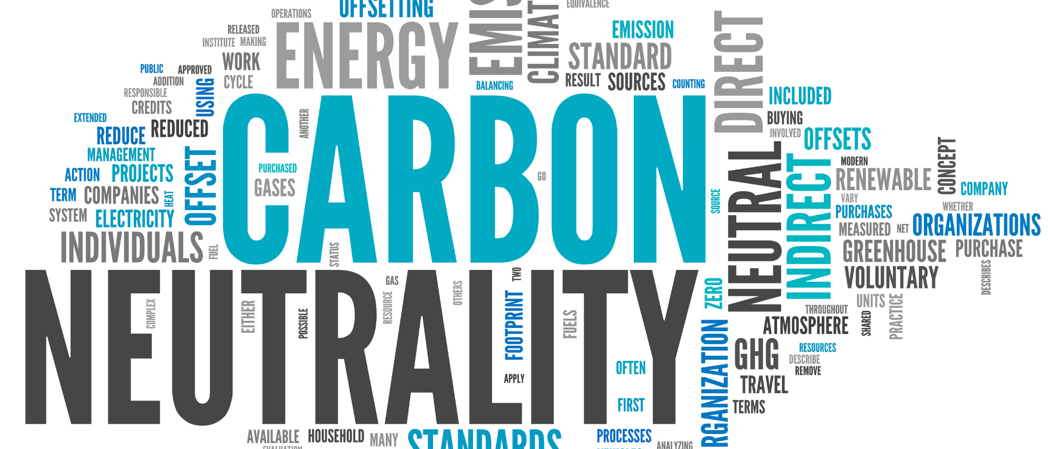 Carbon Neutrality word cloud