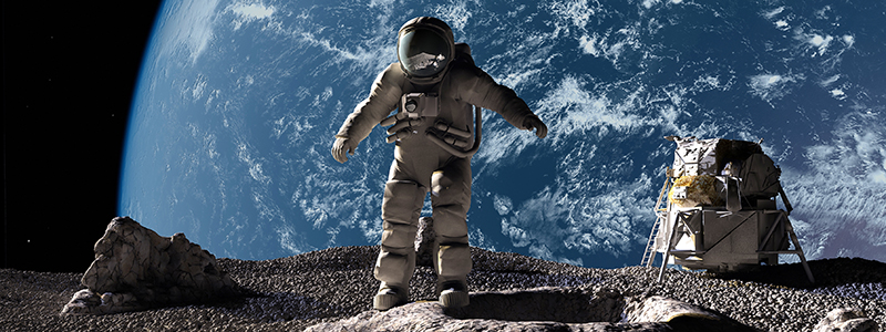 themoonexhibitiondiscount