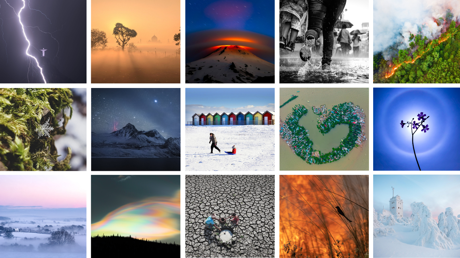 3 by 5 grid of square Weather Photographer of the Year shortlisted images