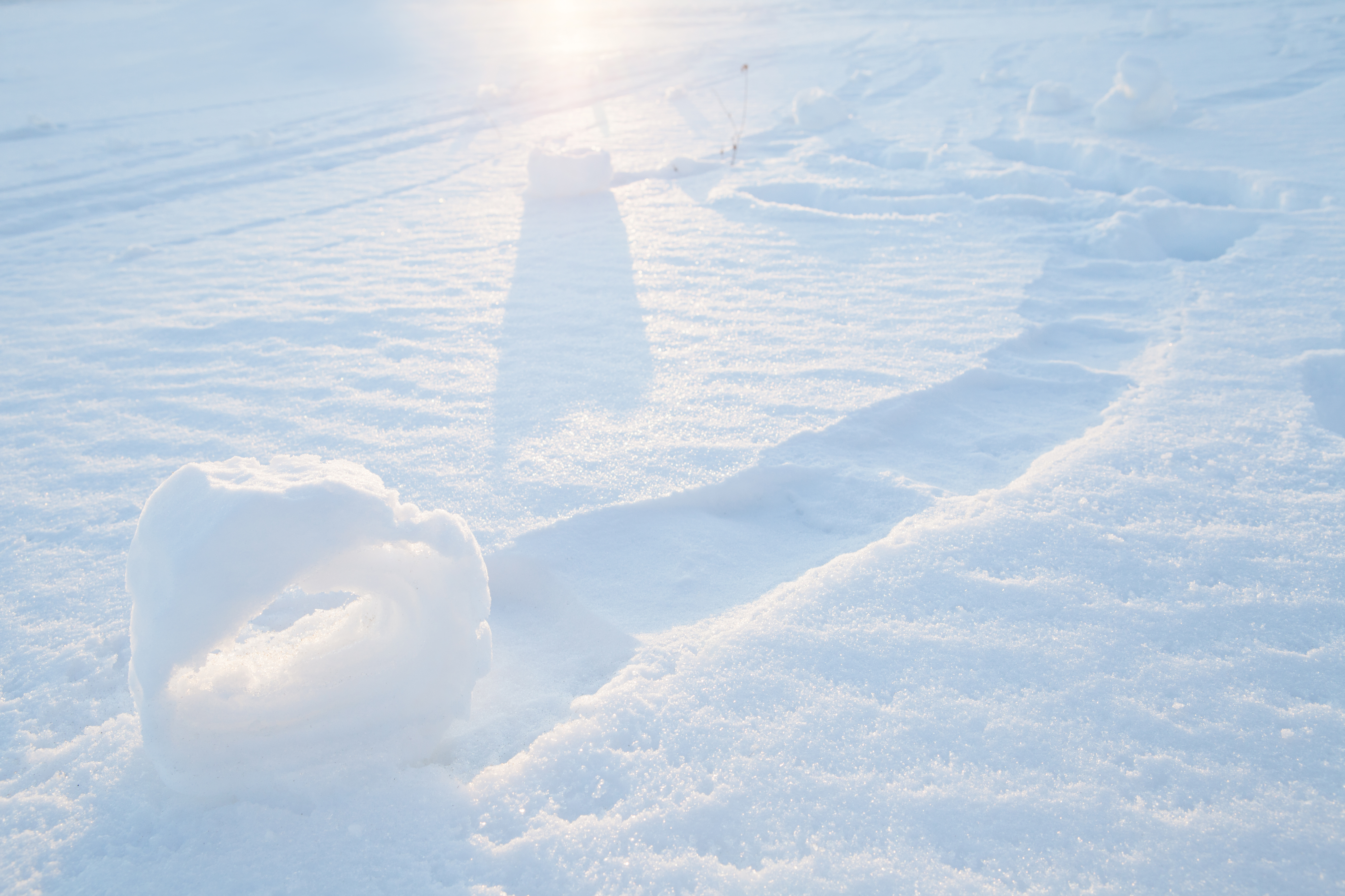 SNOW ROLLER