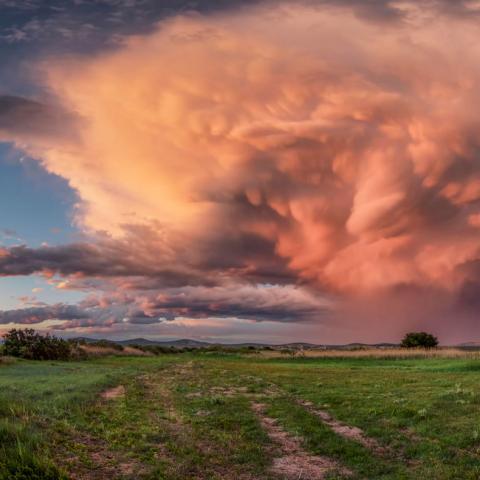 Cell with Rainbow 