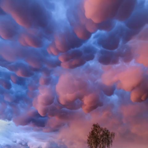 Mammatus cloud outbreak