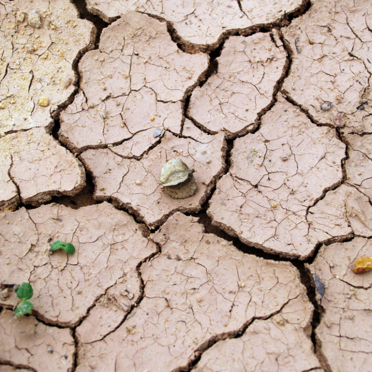 aridity dry land