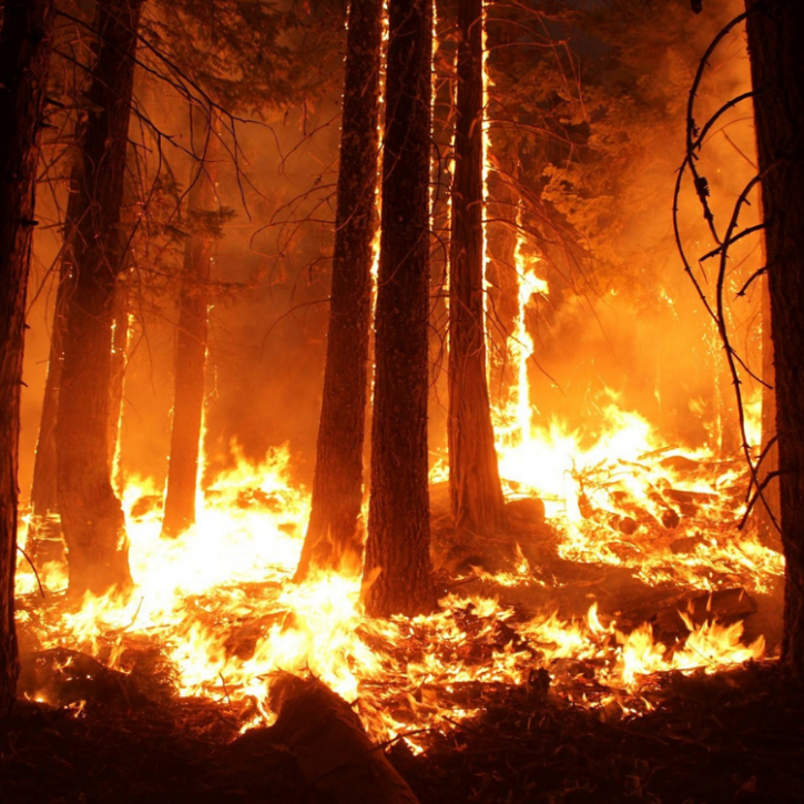 wildfires