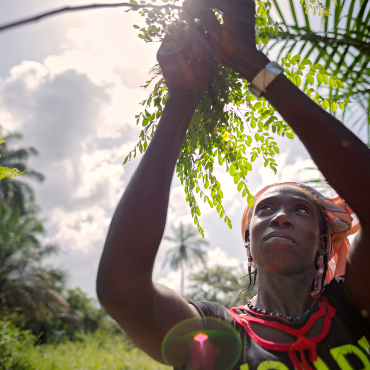 A lady in Guinea demonstrating substainable agricultureCredit: Joe Saade / UN Women