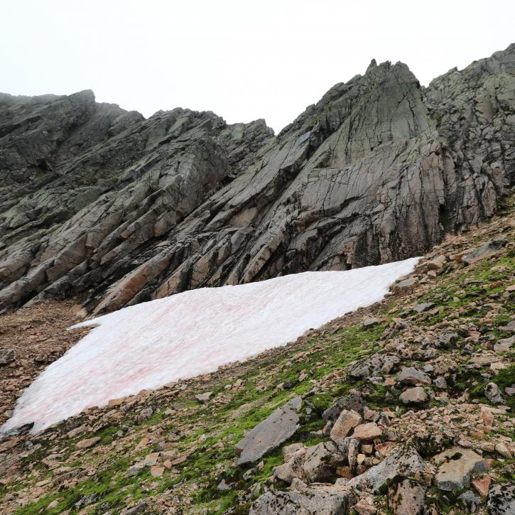Scottish snow patches