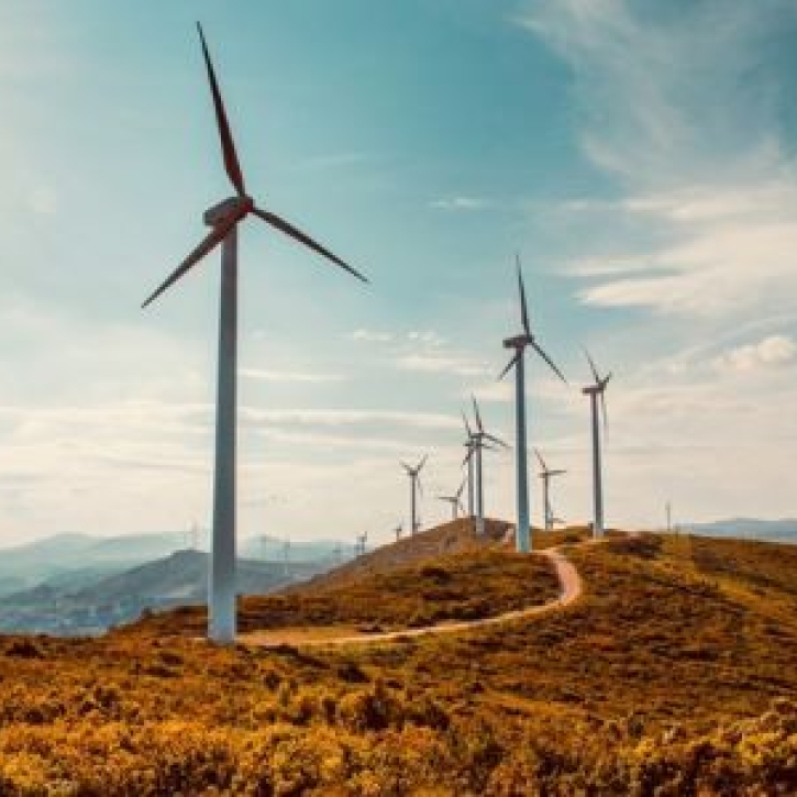 windfarm