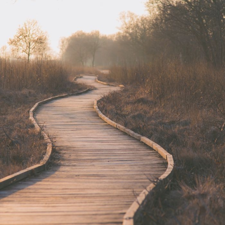 A path winds forward through the mist