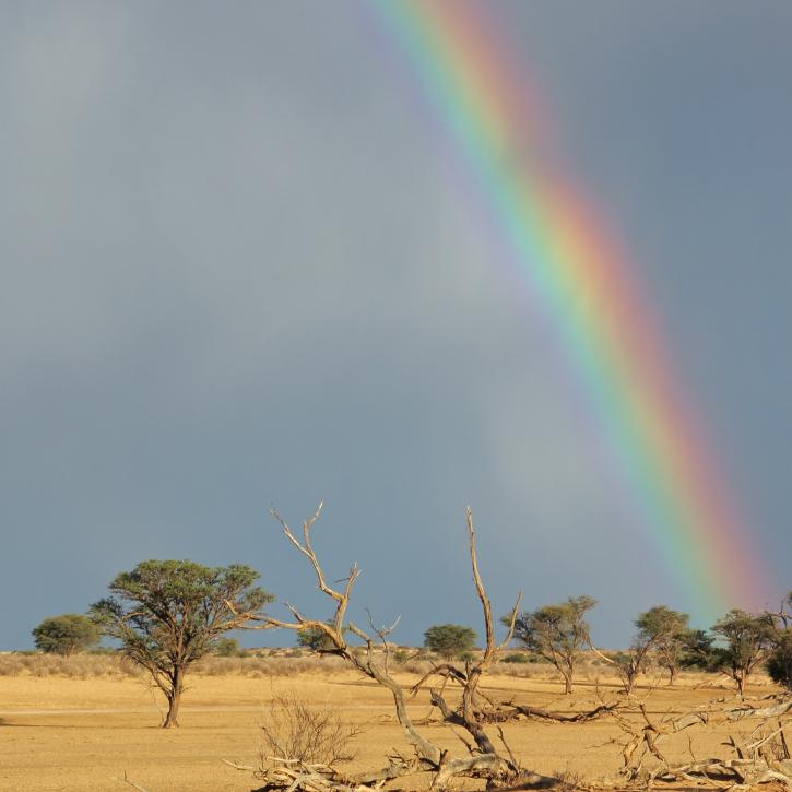 Africa Rainbow