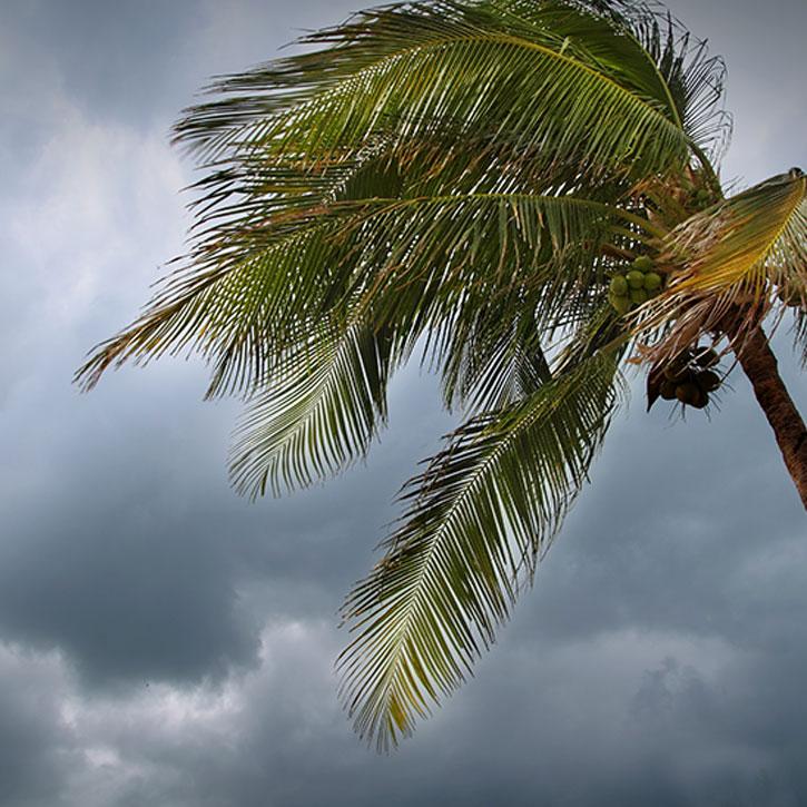 Tropical Cyclones Thumbnail