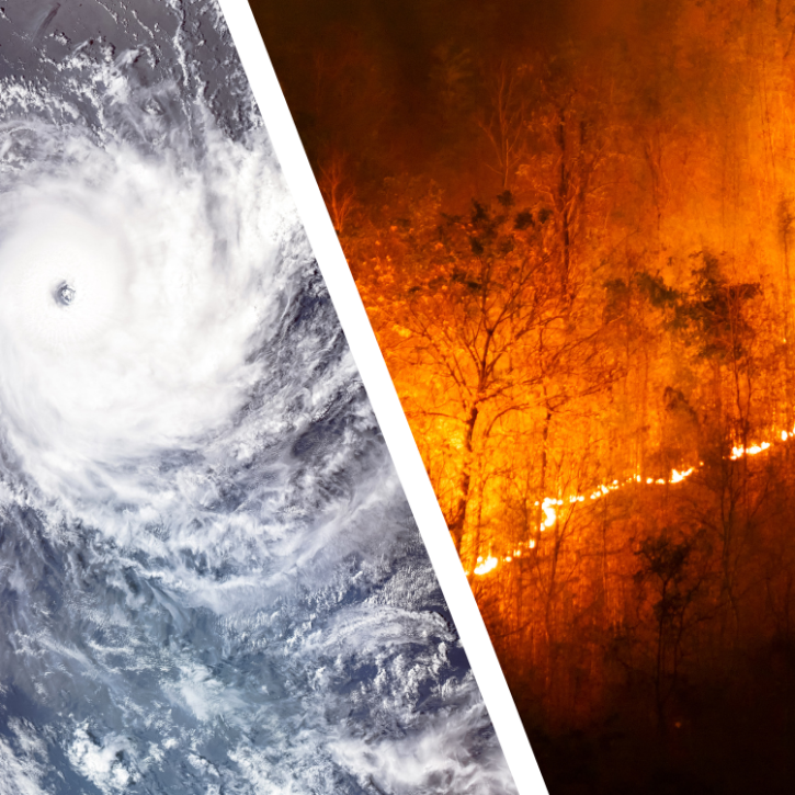 Event image showing tropical cyclone and wild fires