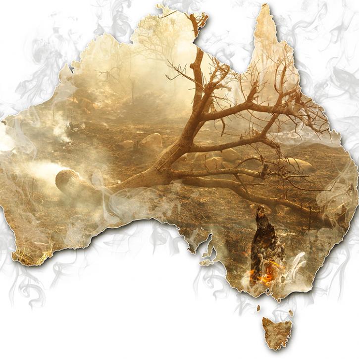 thumbnail.the_.australian.bush_.fires_.2020.jpg