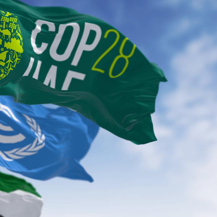 COP28 UAE flag